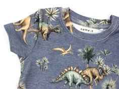 Name It heldragt flint stone dinosaur